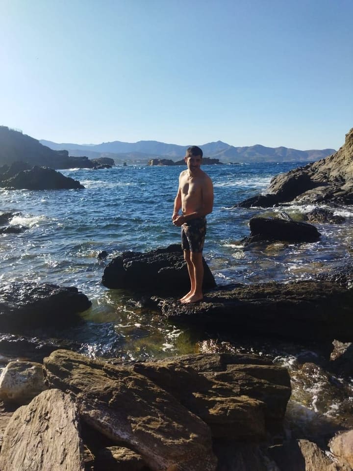 Profil von Davut